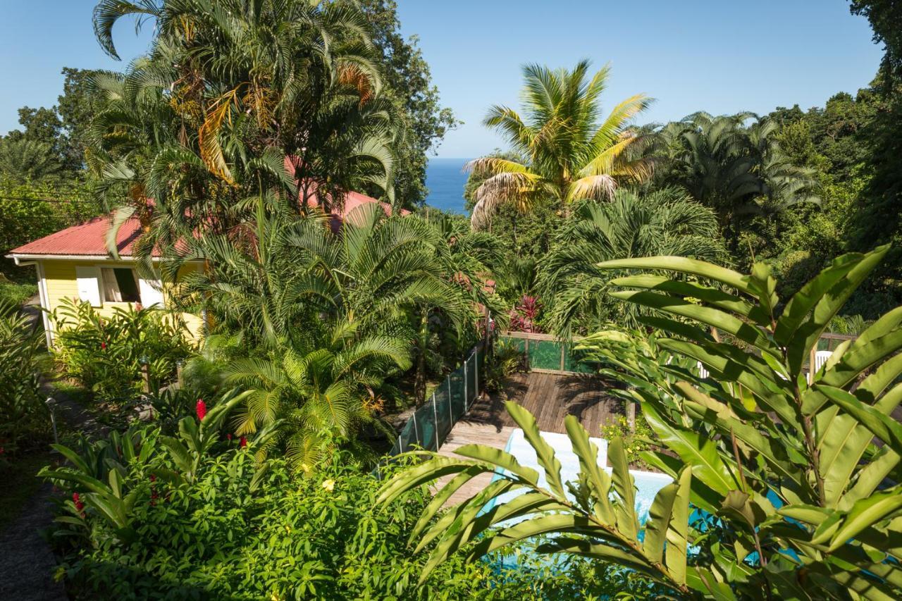 הוילה בוויאנט Les Jardins De L'Esperance מראה חיצוני תמונה