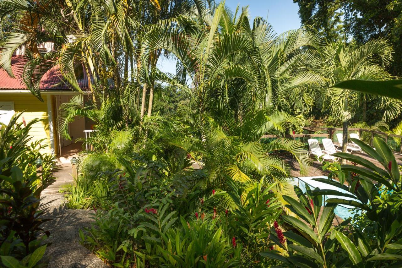 הוילה בוויאנט Les Jardins De L'Esperance מראה חיצוני תמונה