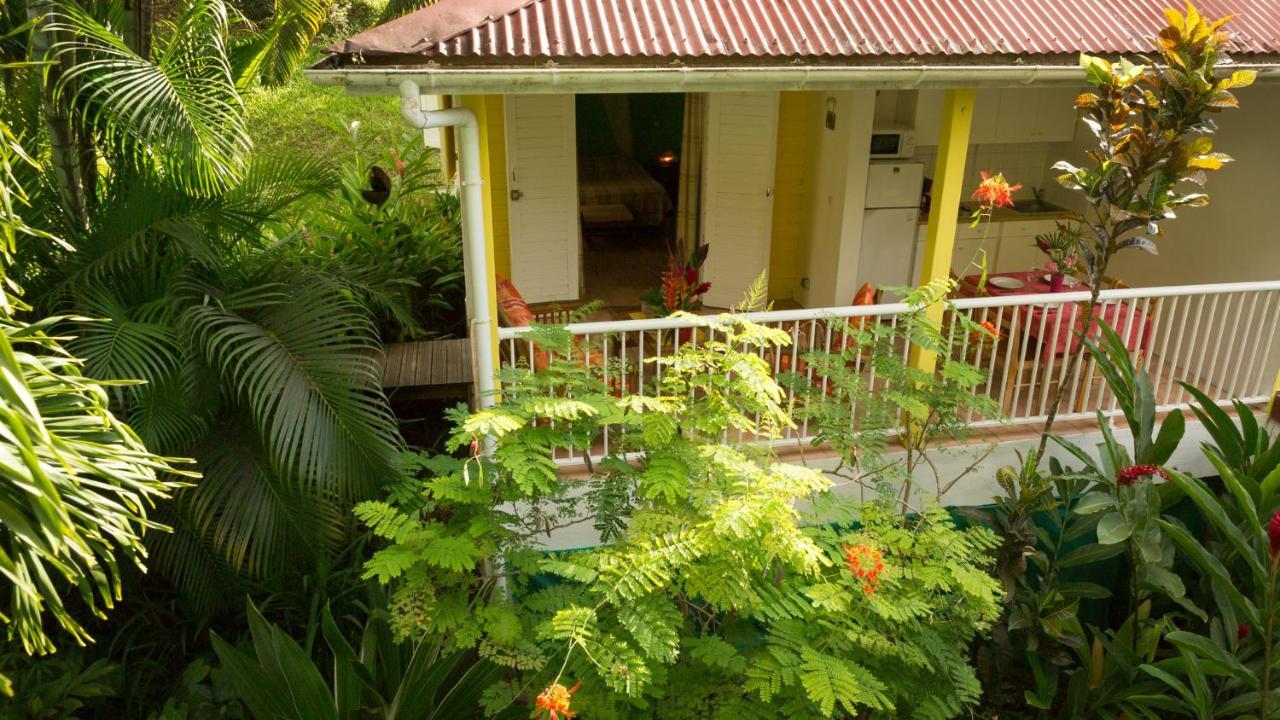 הוילה בוויאנט Les Jardins De L'Esperance מראה חיצוני תמונה