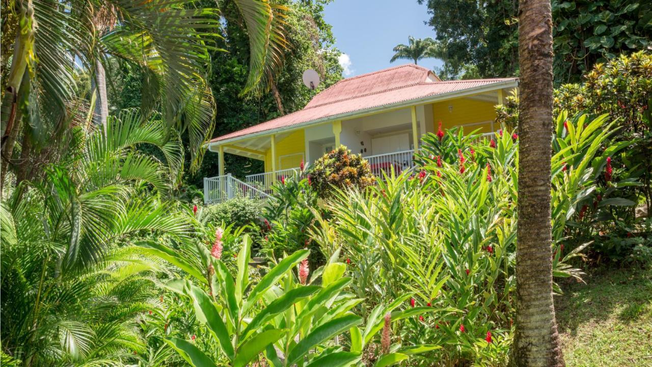 הוילה בוויאנט Les Jardins De L'Esperance מראה חיצוני תמונה