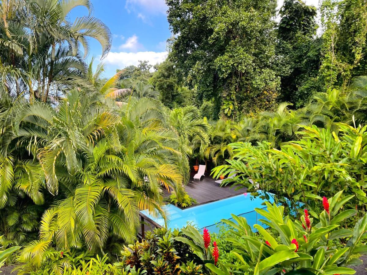 הוילה בוויאנט Les Jardins De L'Esperance מראה חיצוני תמונה