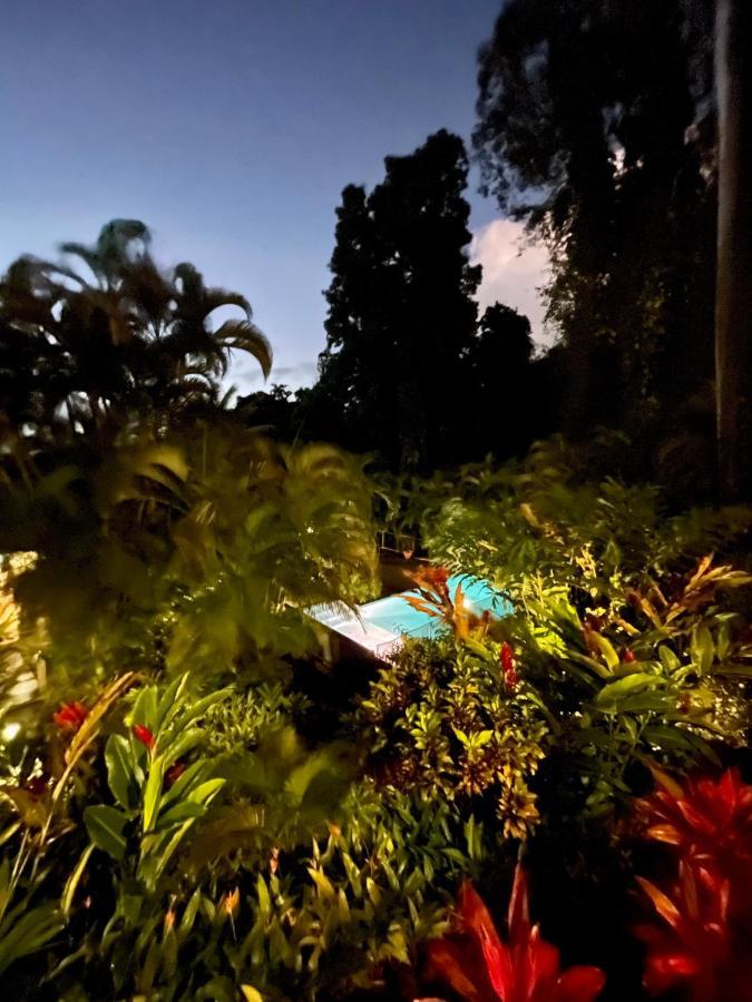 הוילה בוויאנט Les Jardins De L'Esperance מראה חיצוני תמונה