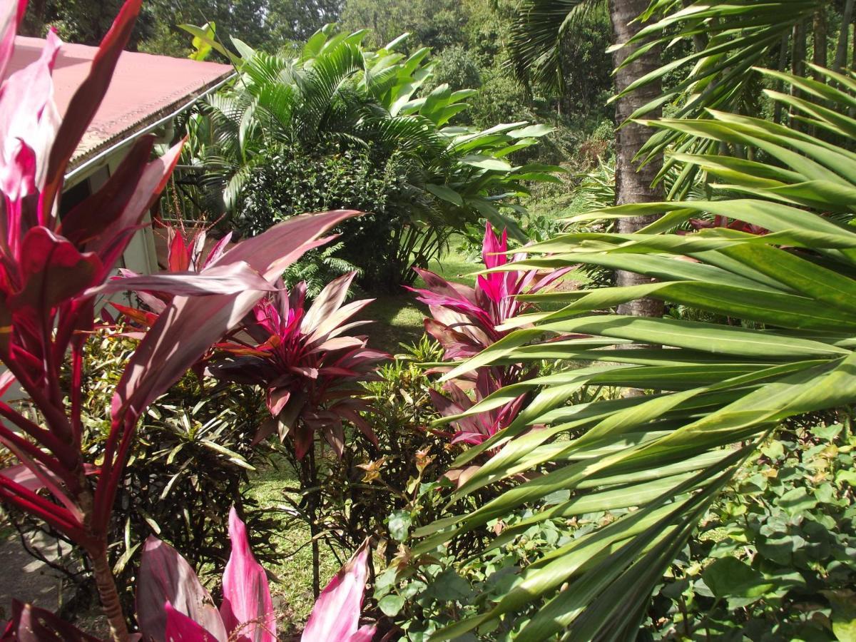 הוילה בוויאנט Les Jardins De L'Esperance מראה חיצוני תמונה