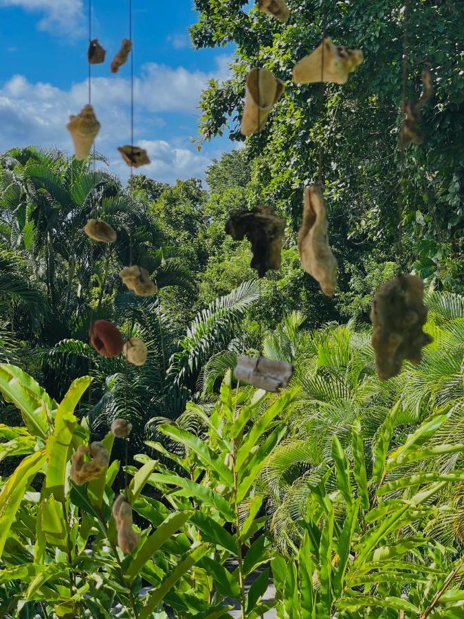 הוילה בוויאנט Les Jardins De L'Esperance מראה חיצוני תמונה